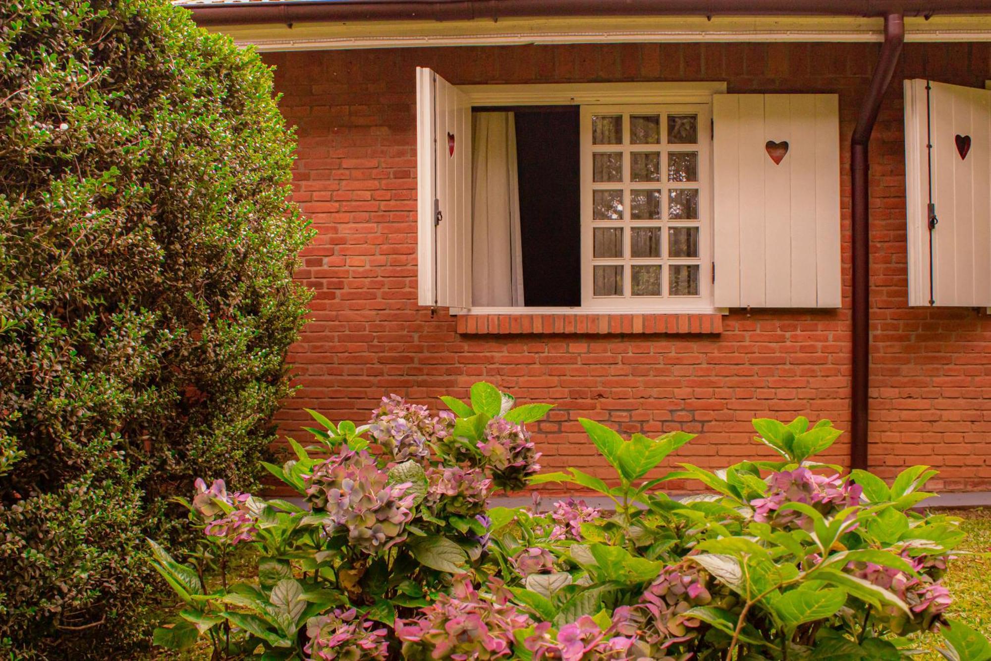 Suite Garden View